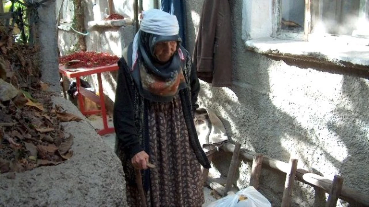 Bozüyük Tso İhtiyaç Sahibi Ailelere Gıda Yardımı Yaptı