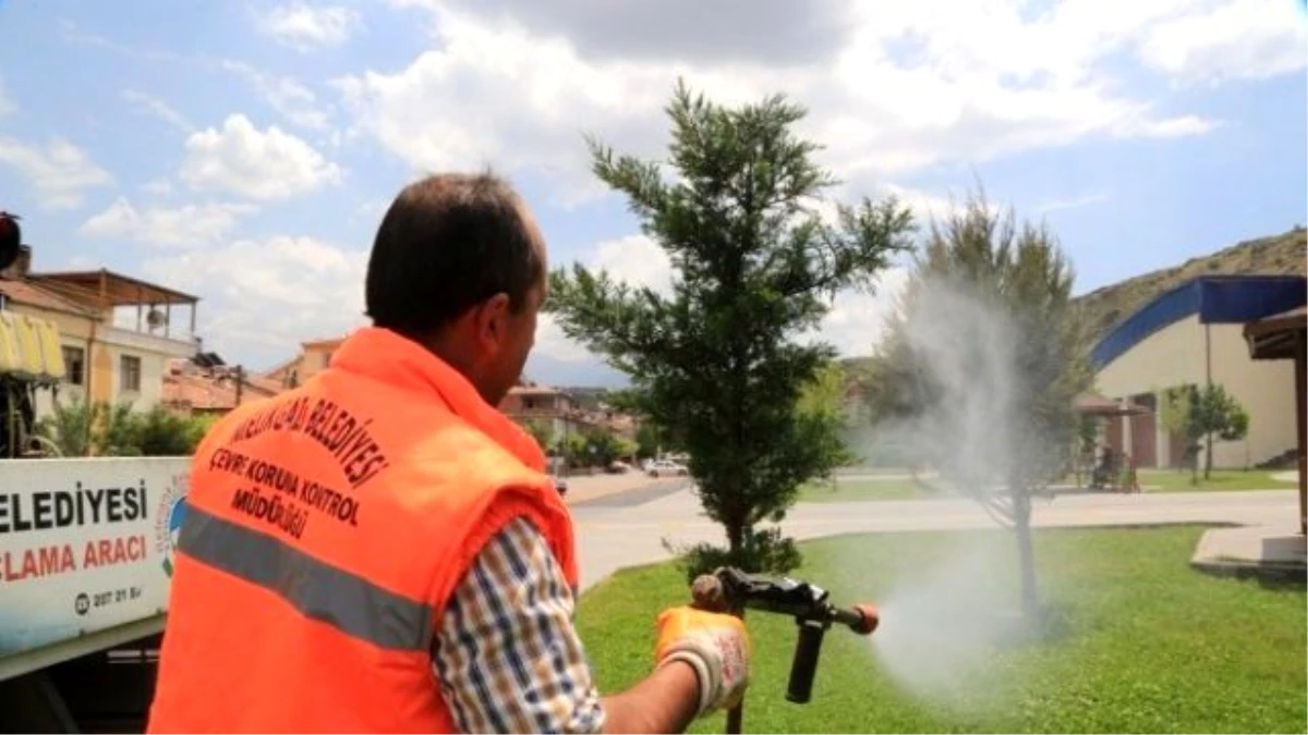 Haşerata Karşı Etkin Mücadele Kanal, Ağaç ve Parklarda İlaçlama