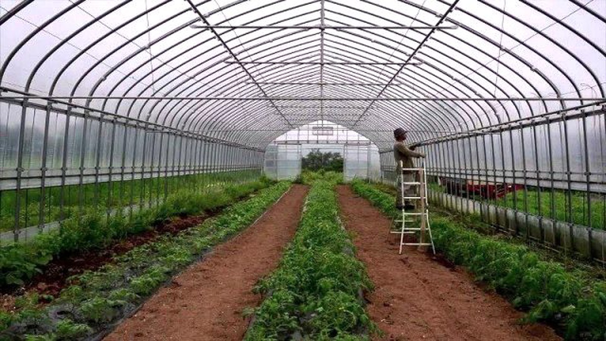 Köprübaşı\'nda 10 Üreticiye Yüzde 75 Hibe Desteği