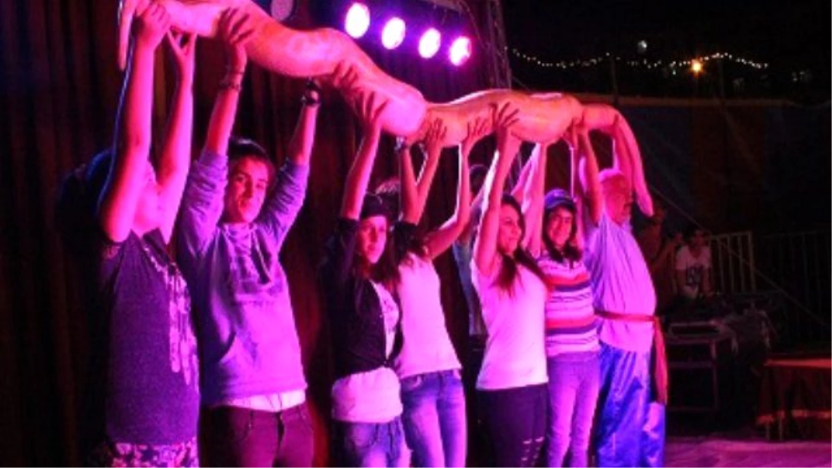 5 Metre 80 Kiloluk Dev Piton Yılanı Diyarbakırlıları Korkuttu