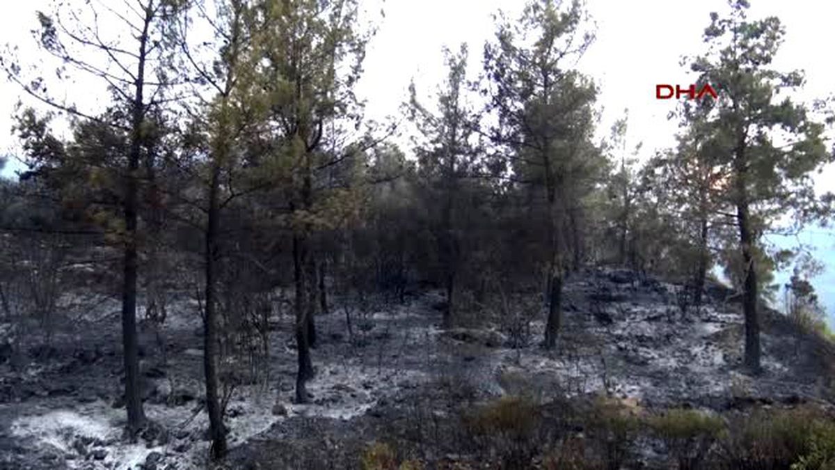Alevlerin Gölgesinde İftar Açtılar