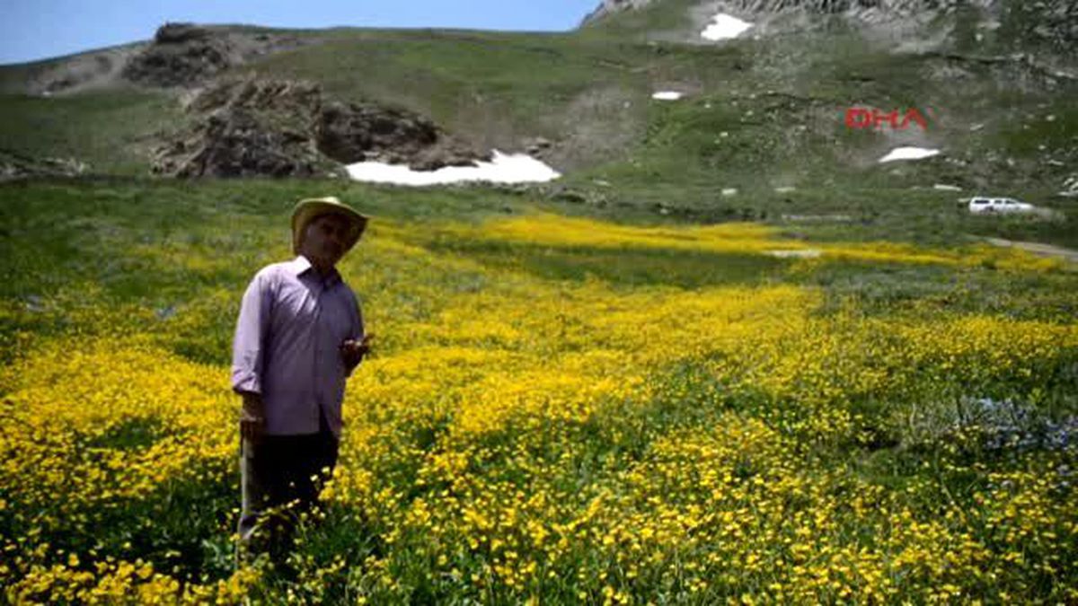 Hakkari Berçelan\'da Dört Mevsim