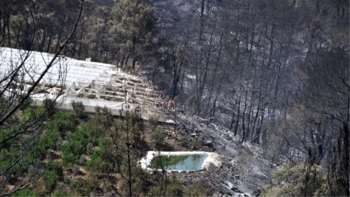 Kumluca\'daki Orman Yangını Kontrol Altına Alındı