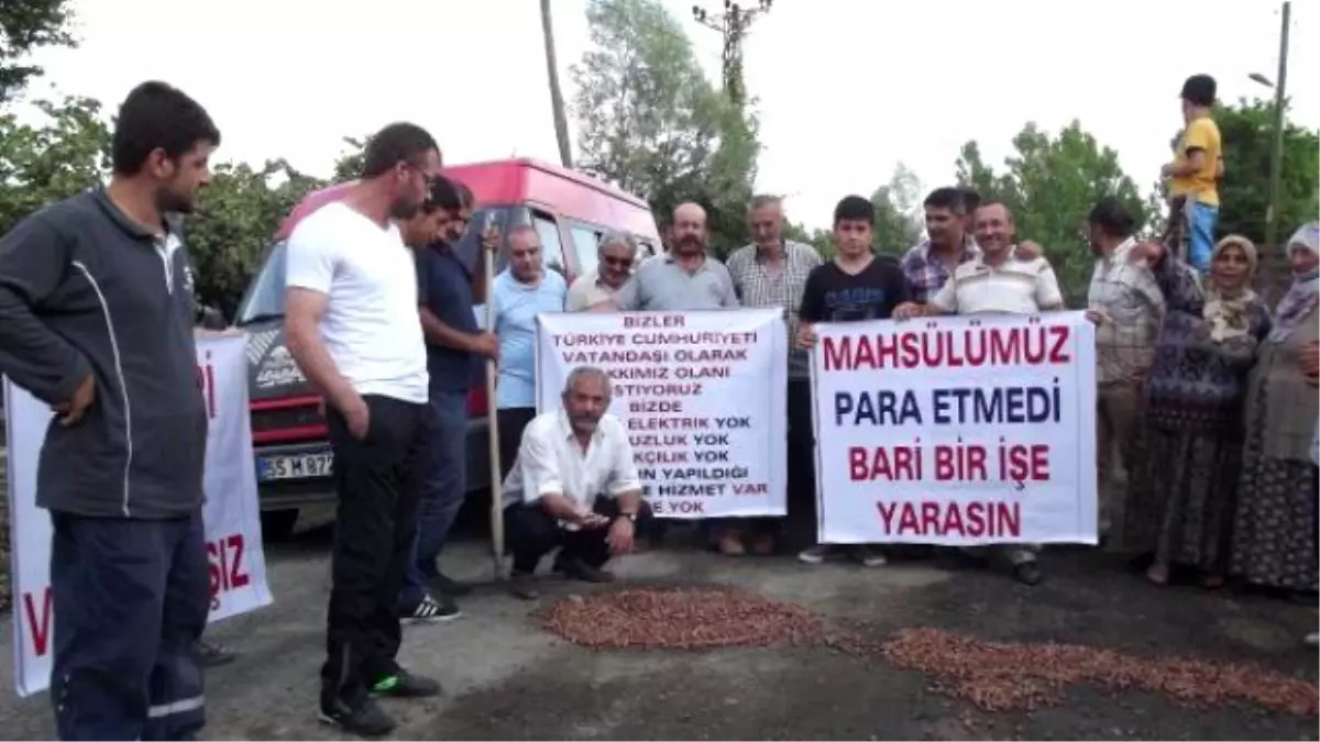 Mahalle Sakinleri Yoldaki Çukurları Fındıkla Kapattı