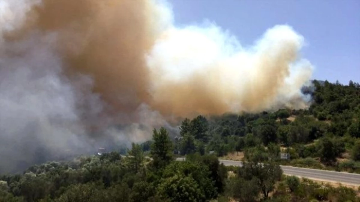 Orman Bakanı Eroğlu: Kumluca\'daki Orman Yangını Kontrol Altına Alındı