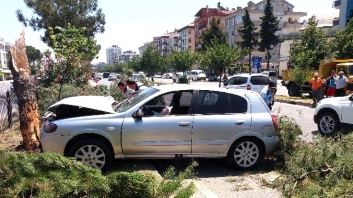 Otomobil Ağaca Çarptı: 2 Yaralı