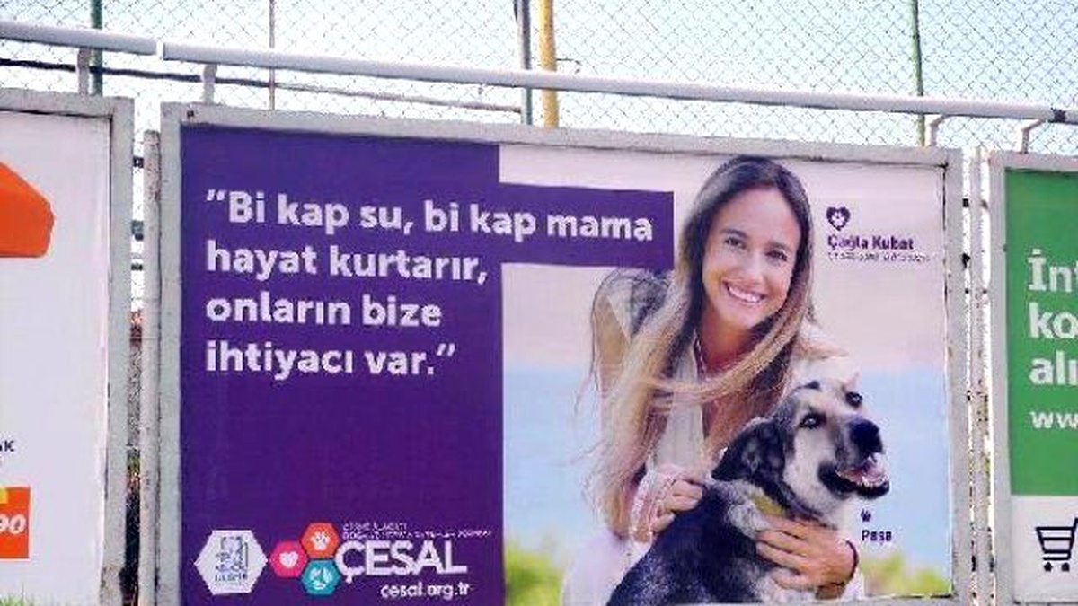 Sokak Hayvanlarına Çağla Kubat Desteği