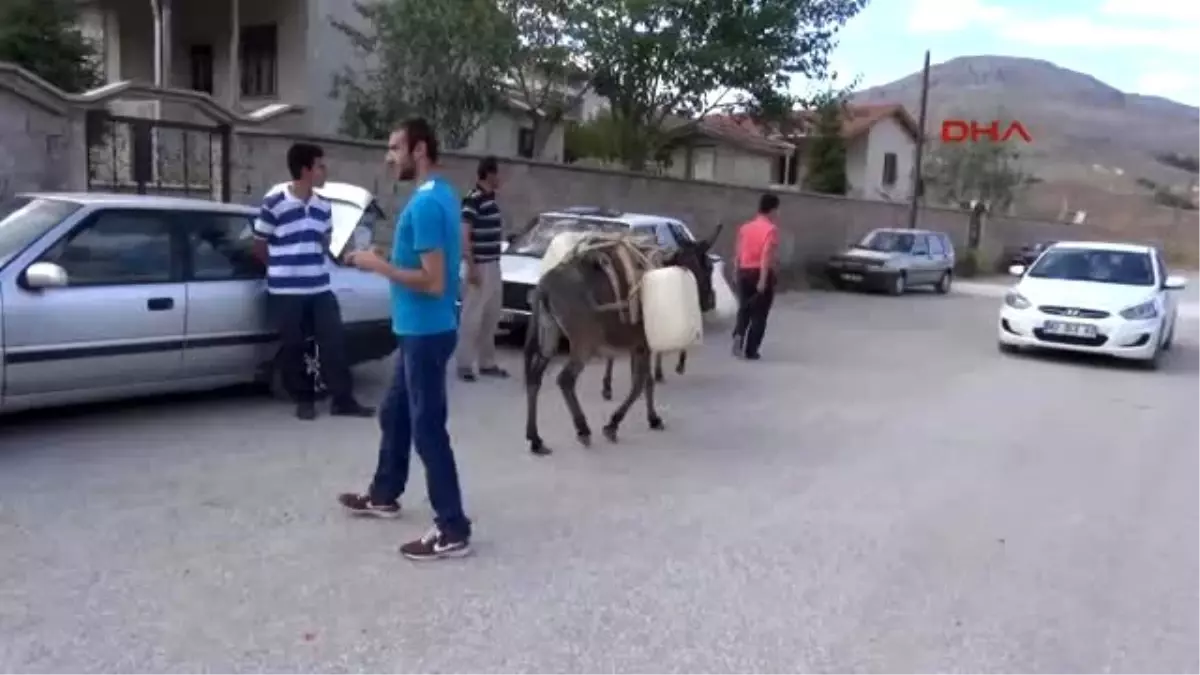 Konya - 30 Gündür Eşeklerle Evlerine Su Taşıyorlar