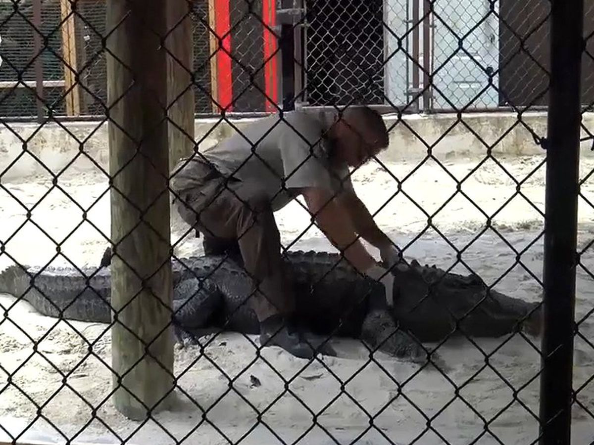 Serkay ve Damla Timsahların Dünyasını Gezdiler