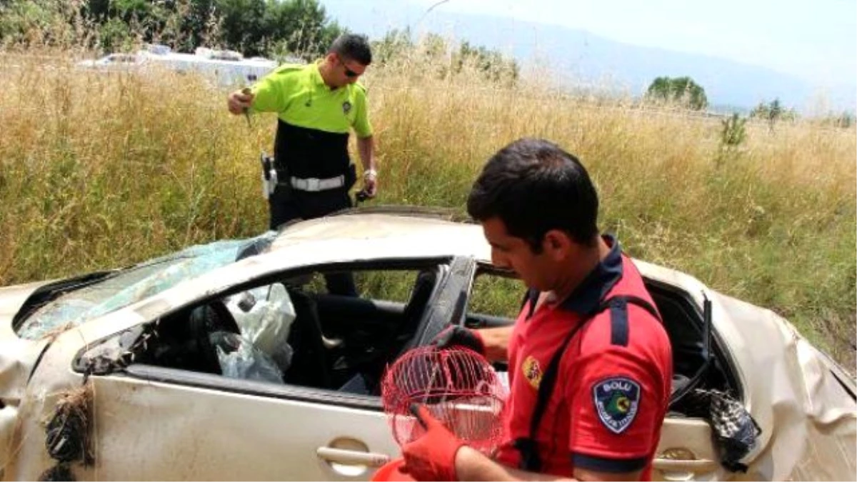 Yaralı Sürücü, Ambulans Beklerken Muhabbet Kuşunun Kurtarılmasını İstedi