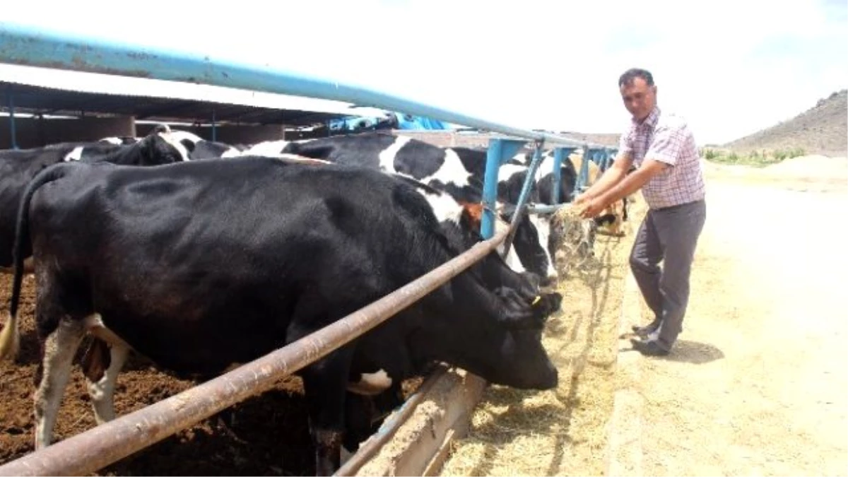 Kayseri Damızlık Sığır Yetiştiricileri Birliği ile Büyükşehir Belediyesi Süt Köprüsü Projesini...