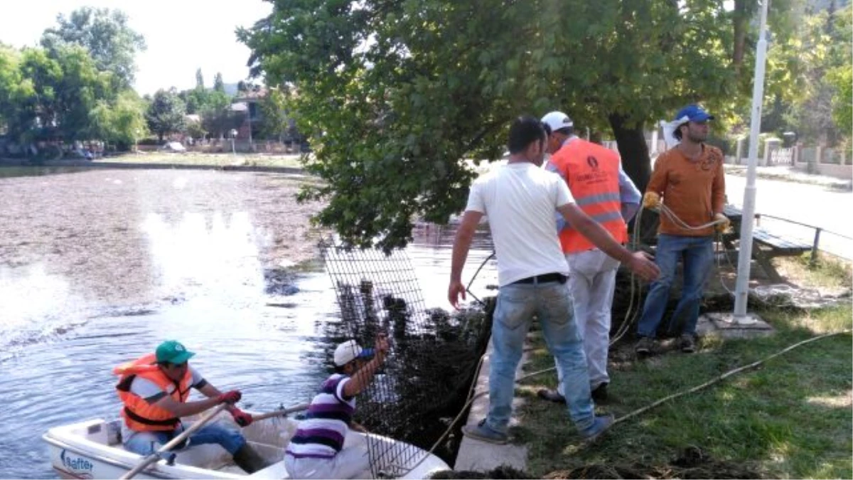Ödemiş Belediyesi ekipleri Gölcük Göl Temizliğine başladı