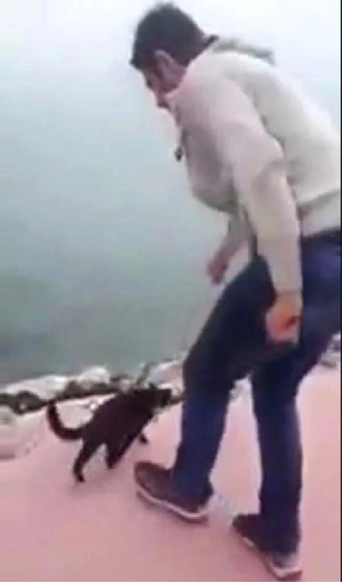 Polis, Kediyi Tekmeleyerek Denize Atan Kişinin Peşinde