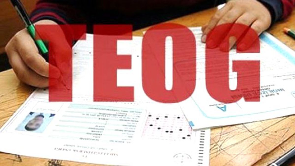 TEOG YEP erişime açıldı mı ? TEOG 2016 Yerleştirme sonuçları