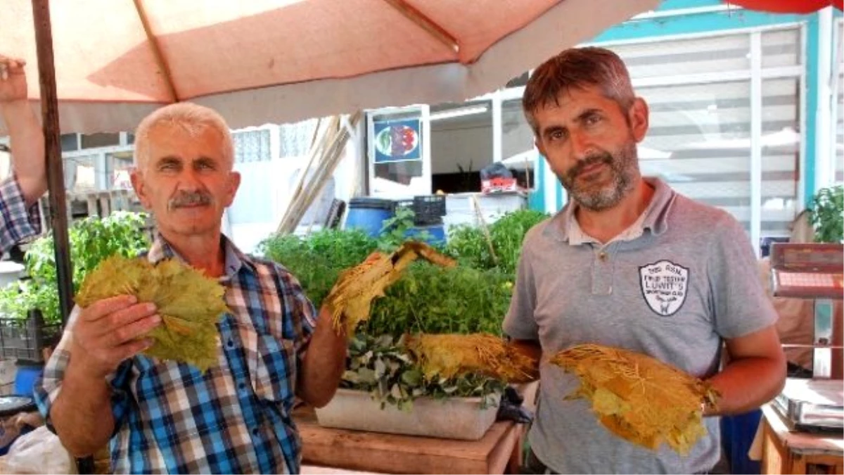 Tokat Salamura Bağ Yaprağı Fiyatlarında Artış