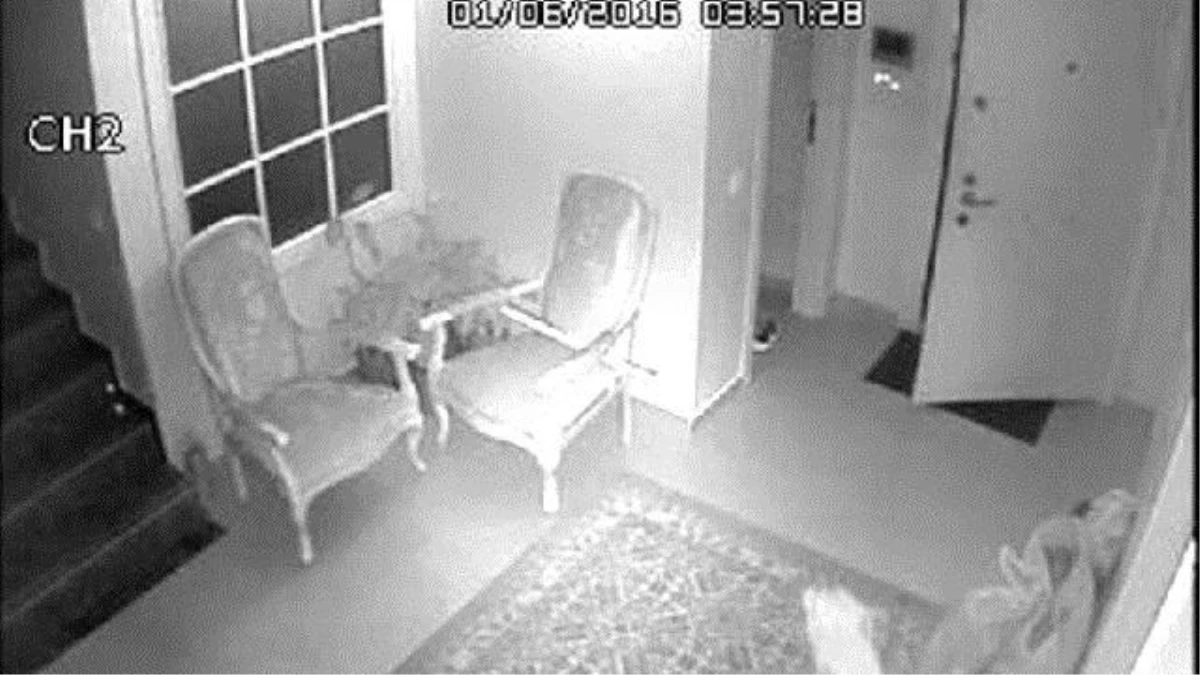 Villanın Salonunda Köpekle Karşılaşan Hırsız Böyle Kaçtı