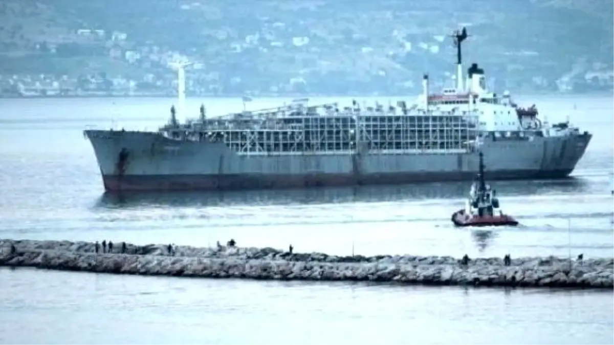 'Yüzen Ahır' Bandırma'ya 9 Bin 300 Büyükbaş Hayvan Getirdi, Kokudan Durulmuyor