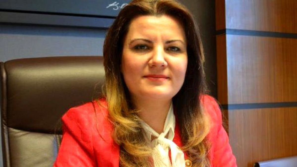 CHP'li Kaplan'dan Köprü Açılışına Tepki