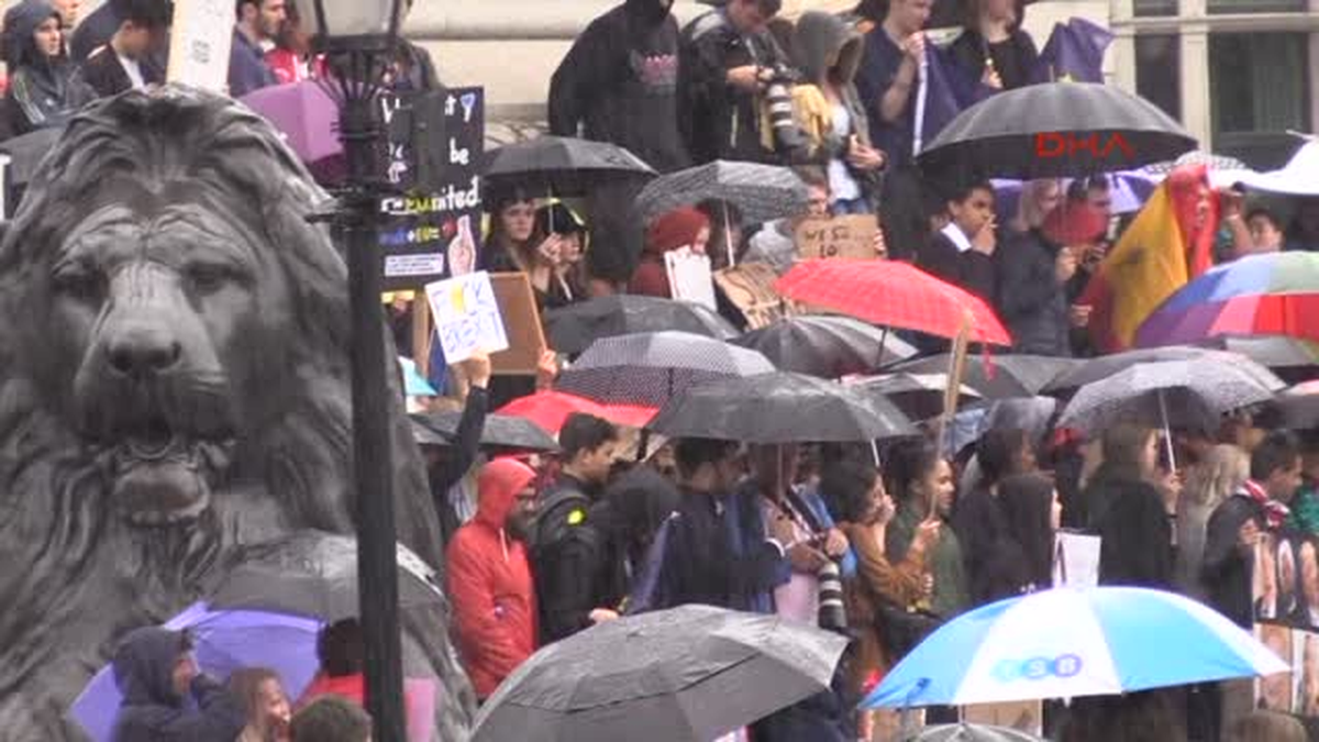 Londra?da Yağmur Altında Brexit Protestosu