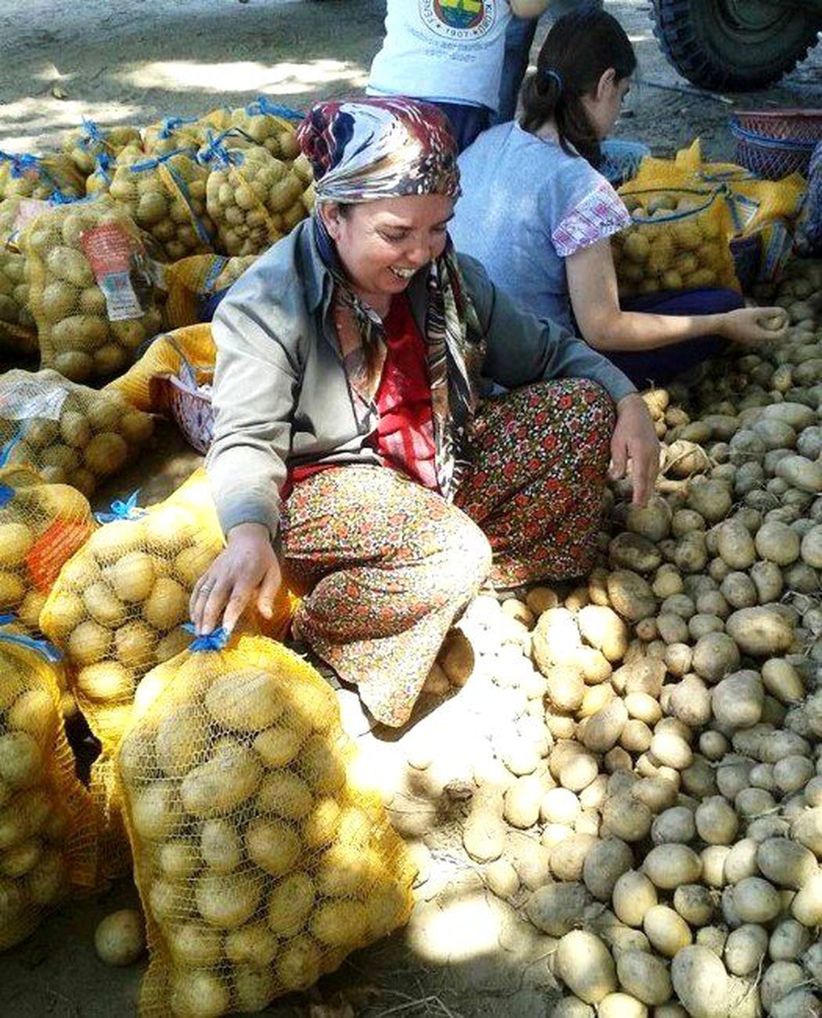 Patates Üreticilerine Bir Destekte Narlıdere Belediyesi\'nden