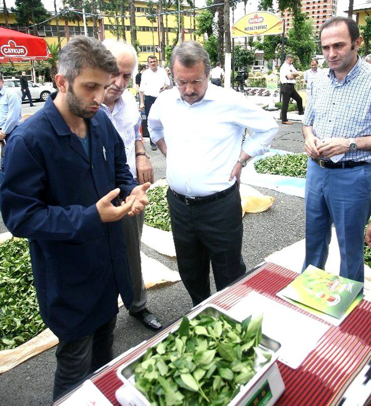 Yaş Çay Alımlarında \'Kuru\' Dönem Başlıyor