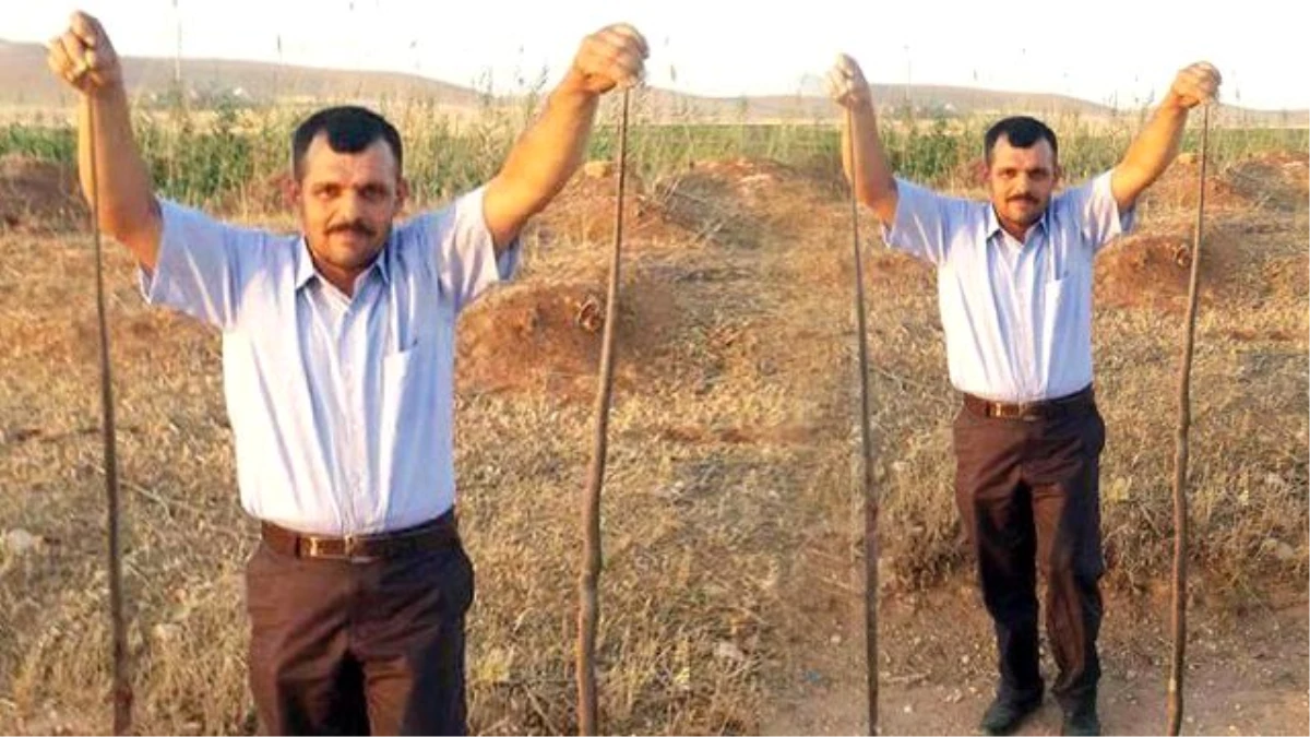 2 Metrelik Yılanları Öldürüp Poz Verdi