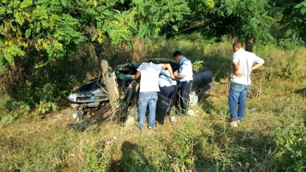 Ağaca Çarpan Otomobildeki Zabıta Memuru Yaralandı