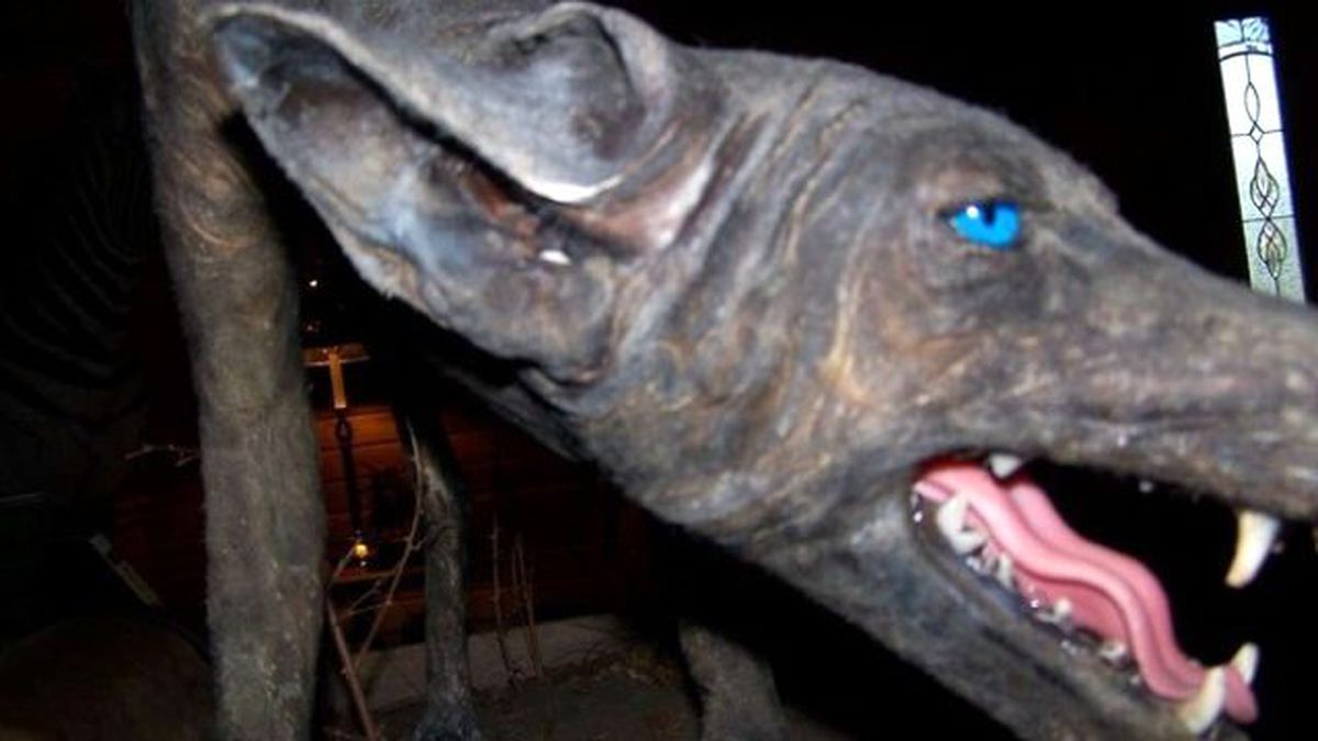 Kan İçerek Yaşayan Efsane 'Vampir' Öldürüldü!