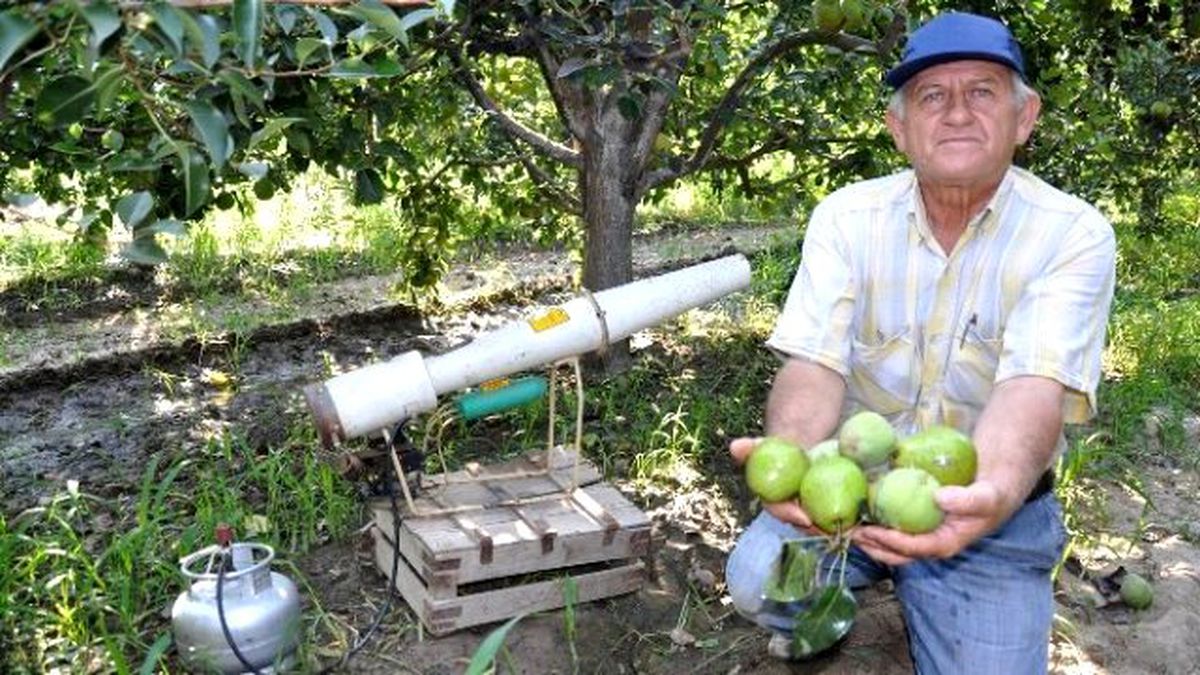 Domuzsavar İş Başında