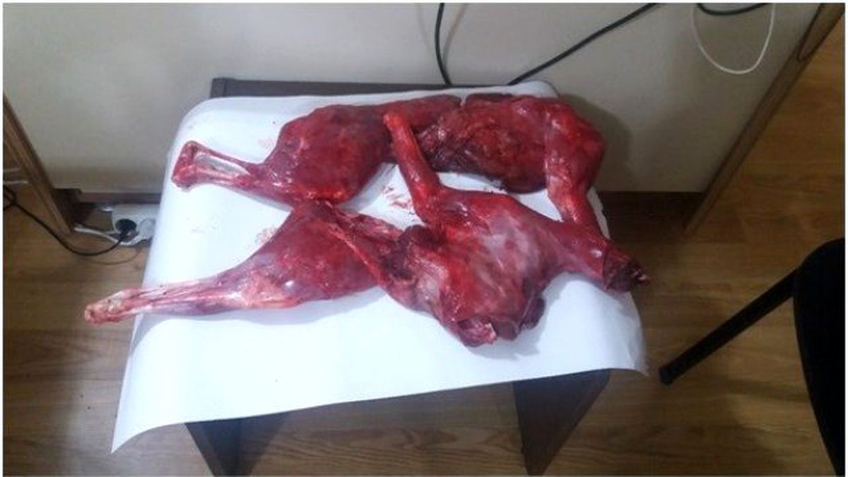 Kaçak Avcılara Suçüstü