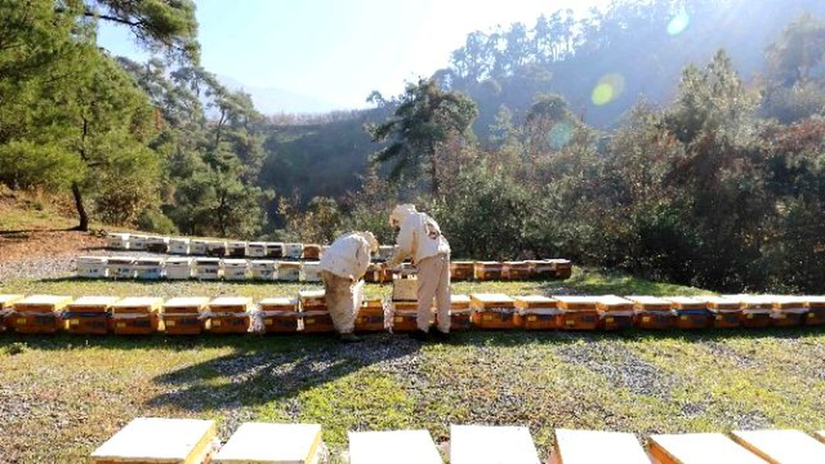 Orman Köylülerine Bakanlıktan 13 Yılda 22,8 Milyon TL Kredi Desteği