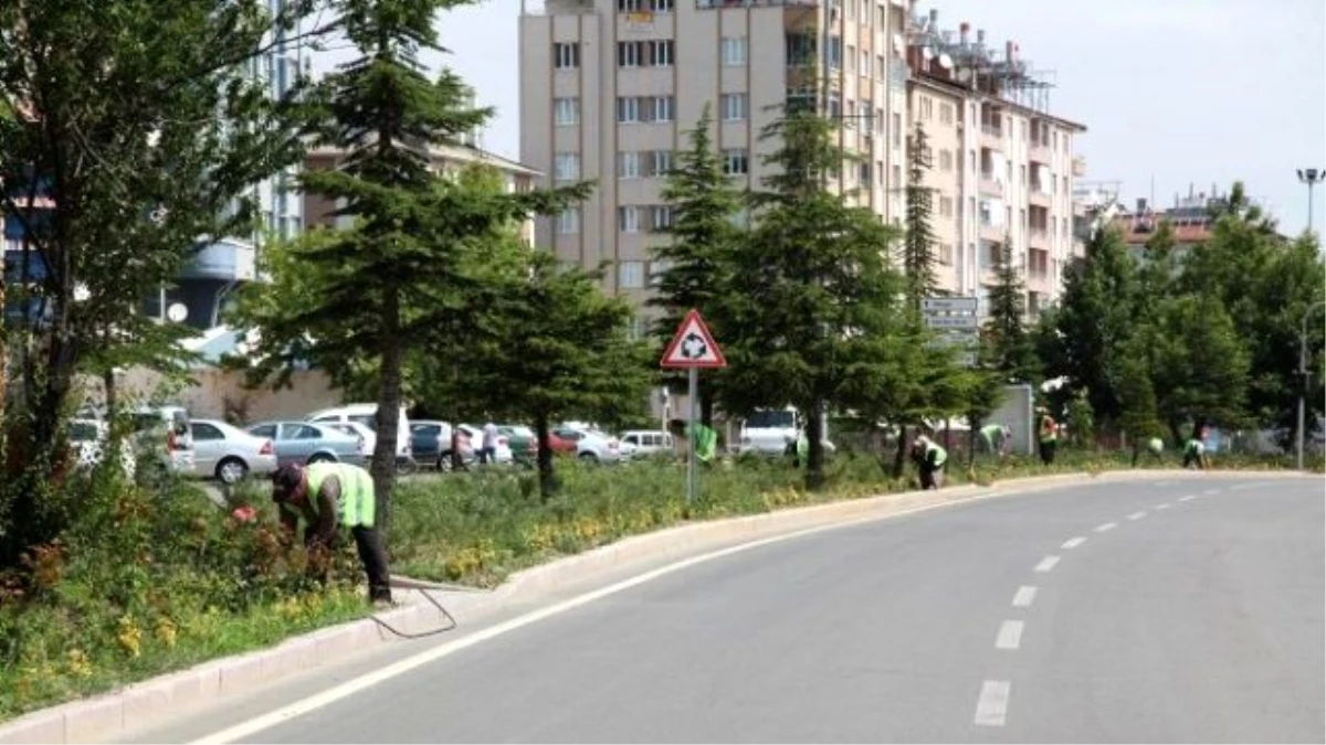 Seydişehir\'de Park ve Bahçelere Düzenleme