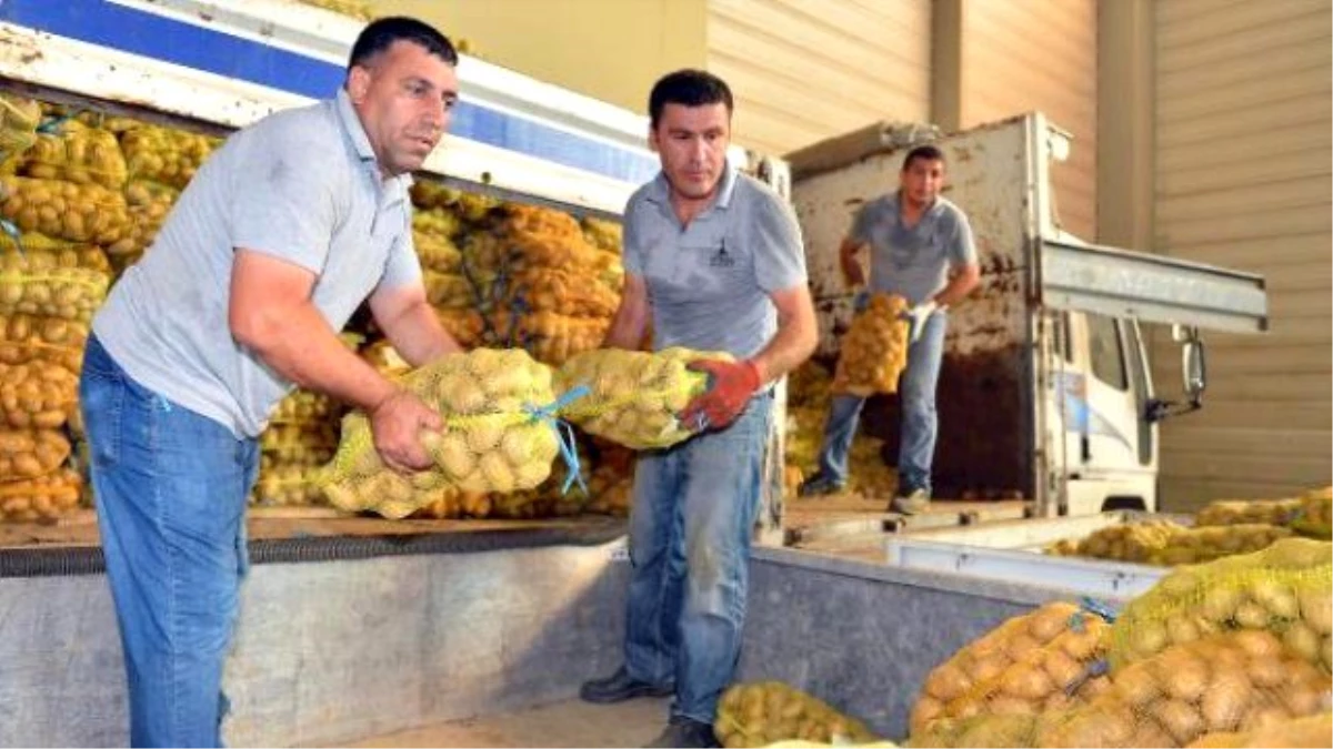 İzmir Büyükşehir\'den 135 Bin Aileye Patates