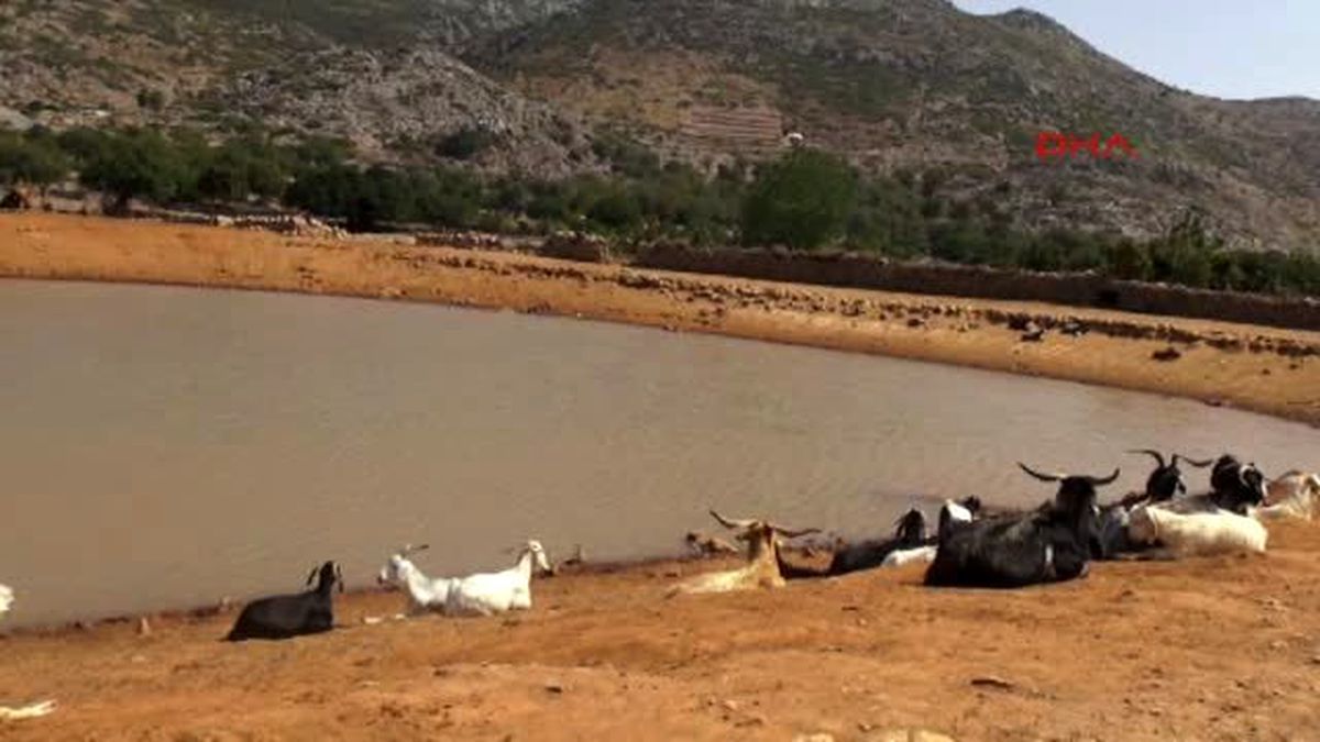 Marmaris'te Su Kuyuları ve Göletleri Kuruyan Köylüler Perişan Oldu