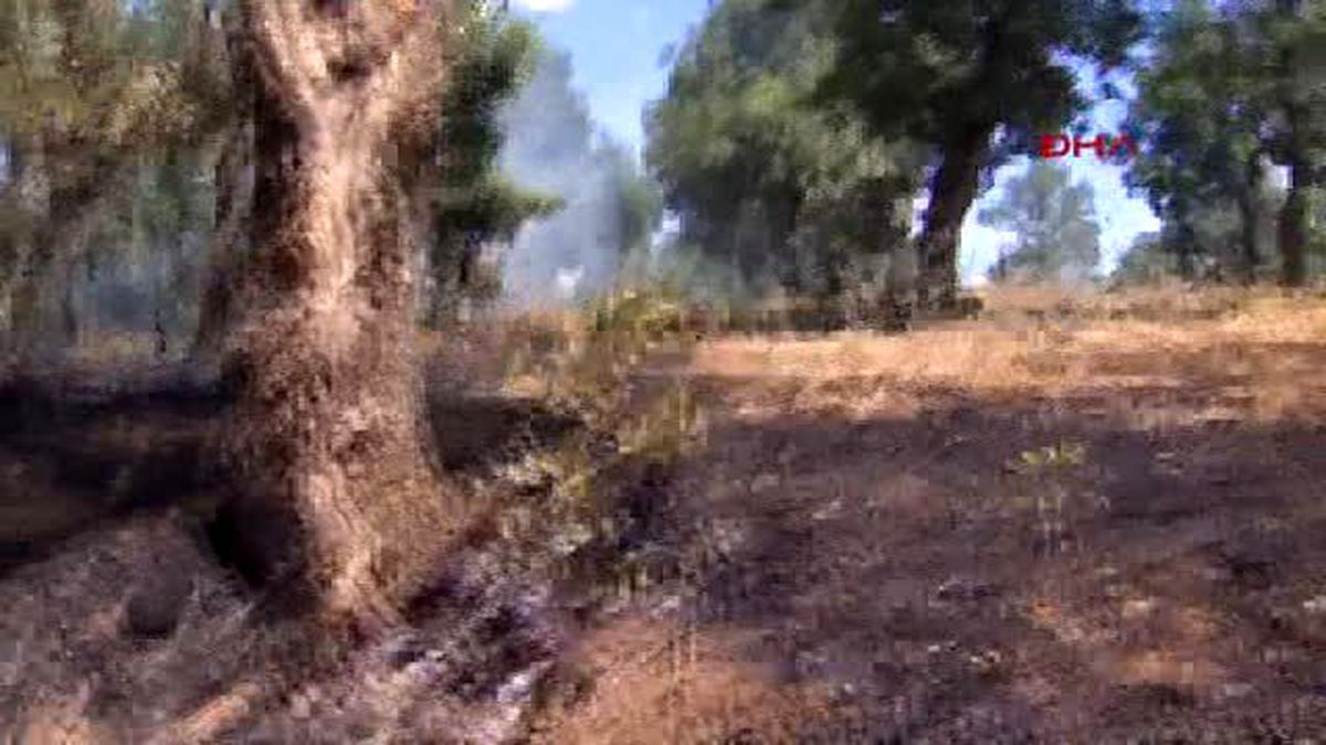 Lice\'de 2\'si Ölü 6 PKK\'lı Etkisiz Hale Getirildi