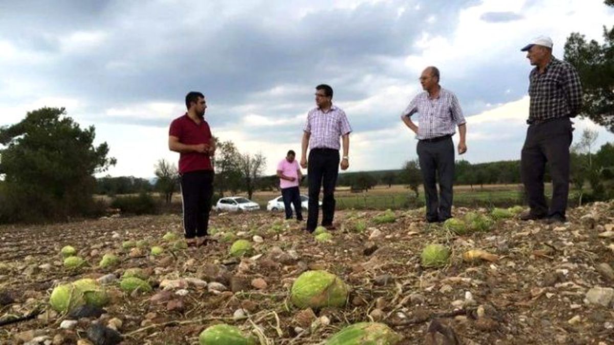 Milletvekili Öz, Dolu Yağışından Zarar Gören Tarım Arazilerini İnceledi