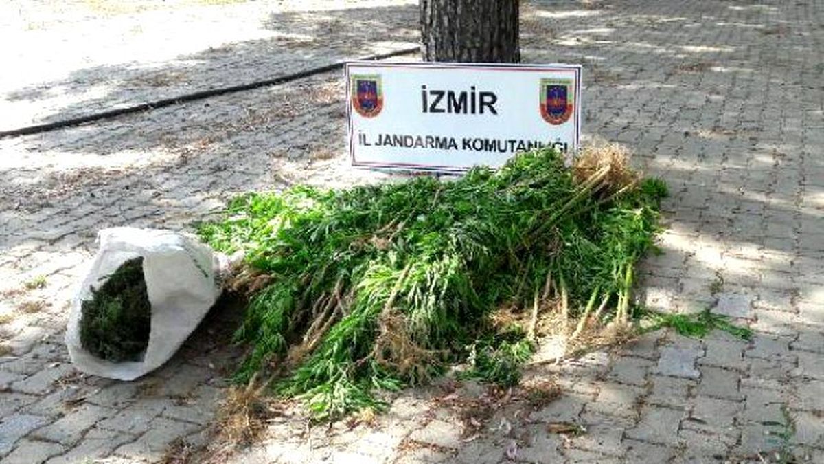 Tire\'de Uyuşturucu Operasyonu