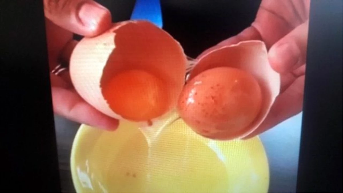 Görenler Gözlerine İnanamadı! Yumurtanın İçinden Yumurta Çıktı