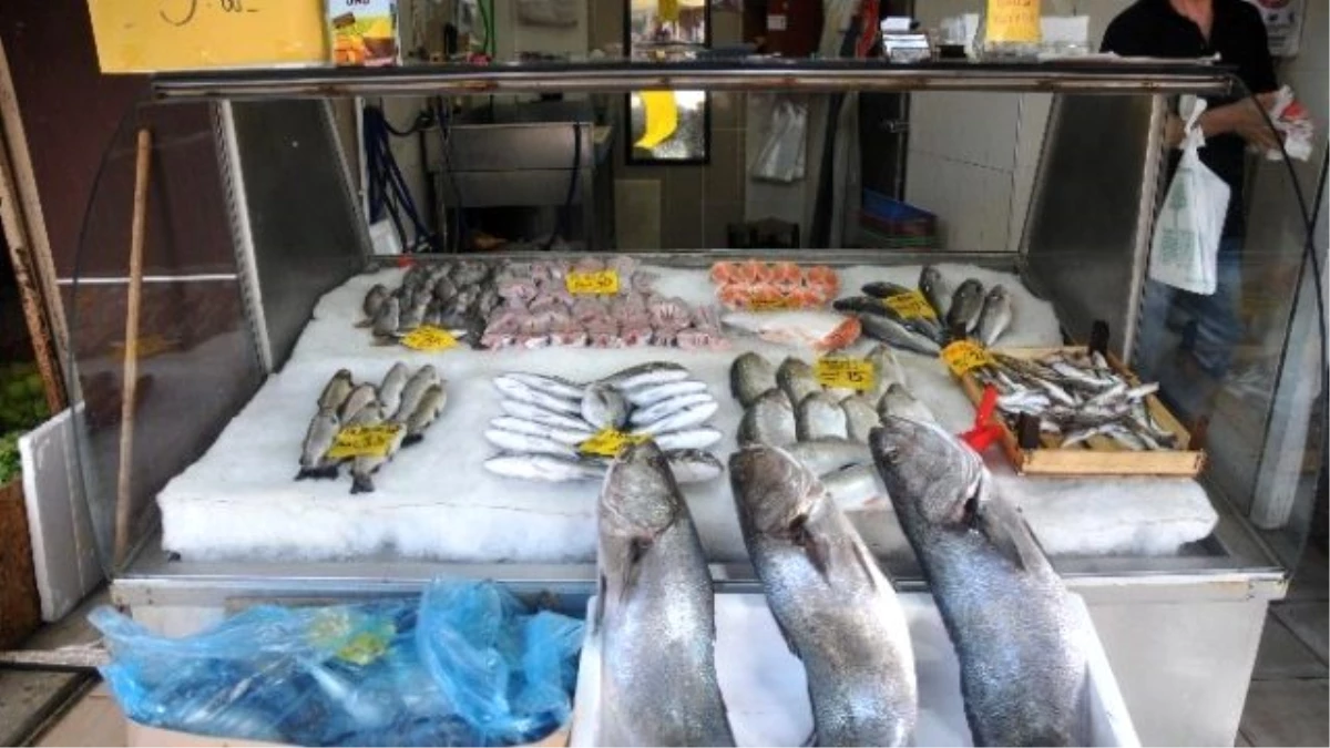 Balıkçı Tezgahlarının Taş Balığı