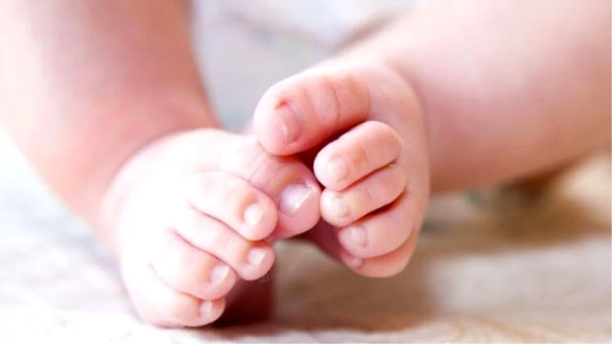 Kansere Yakalanan 2 Yaşındaki Kız Çocuğunun Yumurtalıkları Donduruldu