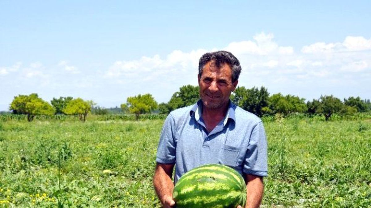 Iğdır Karpuzu Diyarbakır Karpuzuna Rakip Oldu