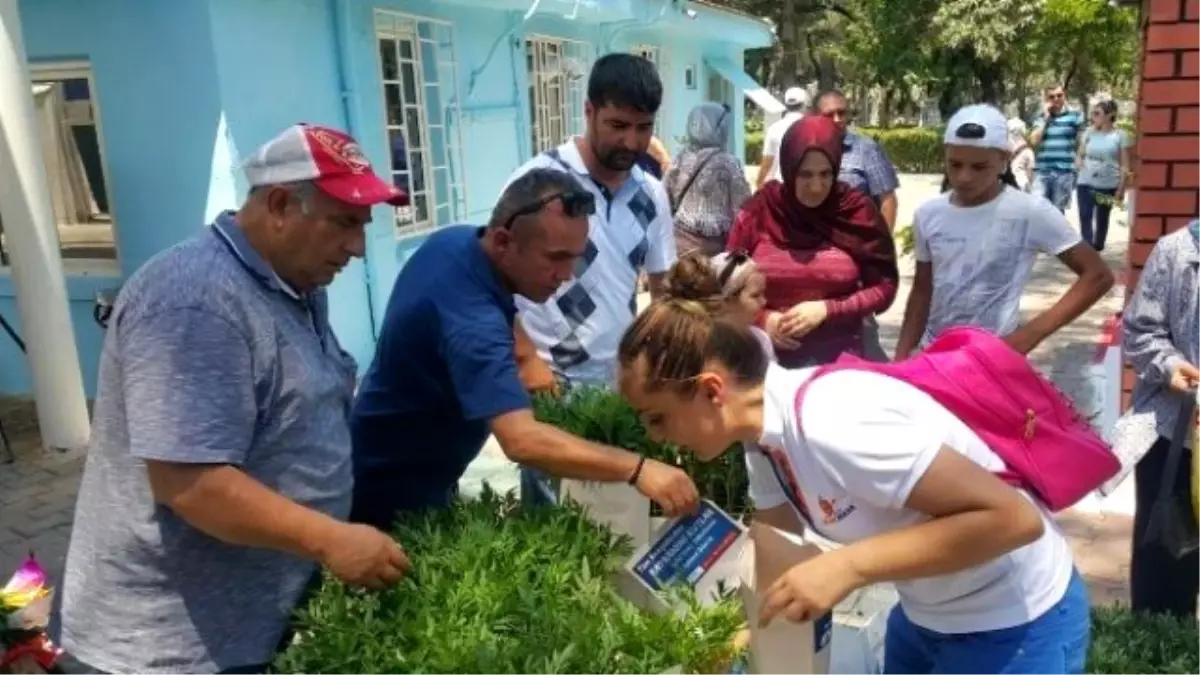 Muratpaşa Belediyesi Ramazan\'da 170 Bin Çiçek Fidesi Dağıttı