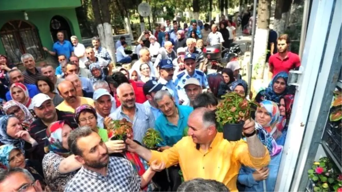 Orhangazi Belediyesi Mezarlıkta 15 Bin Çiçek Dağıttı