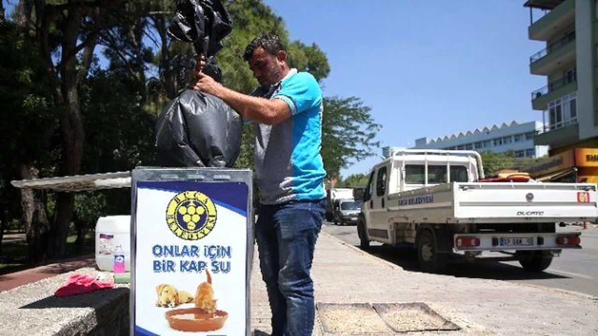 Bu Kutular Karın Doyuruyor