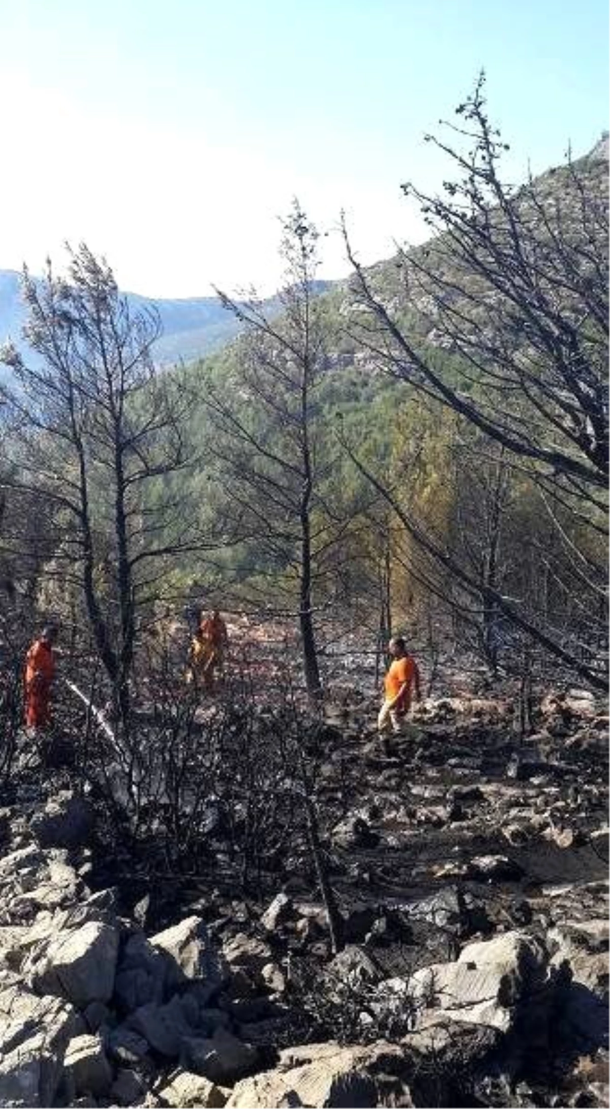 Silifke\'de Çıkan Orman Yangını Kontrol Altına Alındı