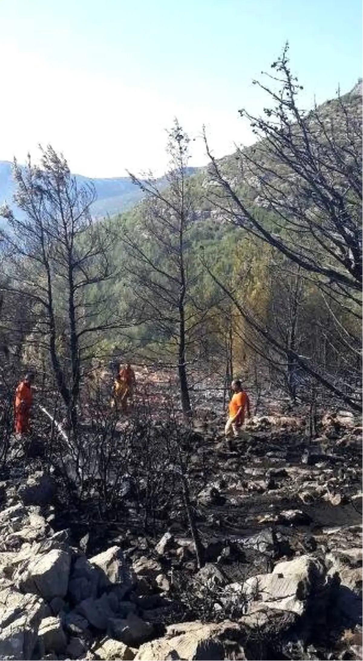 Silifke\'de Çıkan Orman Yangını Kontrol Altına Alındı