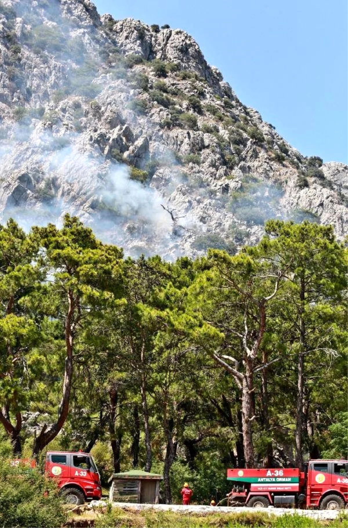 Antalya\'da Orman Yangını Kontrol Altında (2) - Yeniden