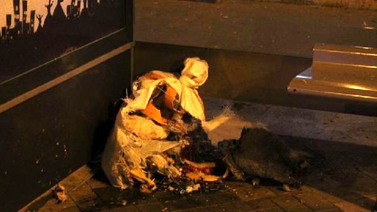 Belediye Yanında Bırakılan Şüpheli Çuvaldan Çöp Çıktı