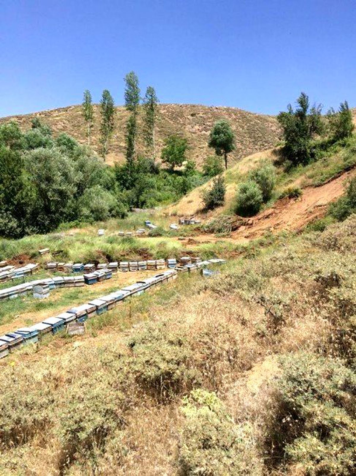 Heyelan 30 Bin TL Zarar Verdi