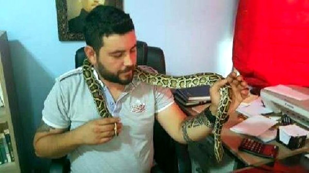 İşyerinde Piton Besliyor